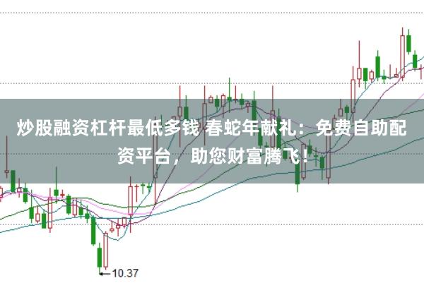 炒股融资杠杆最低多钱 春蛇年献礼：免费自助配资平台，助您财富腾飞！