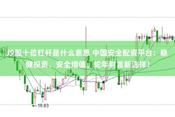 炒股十倍杠杆是什么意思 中国安全配资平台：稳健投资，安全增值，蛇年财富新选择！