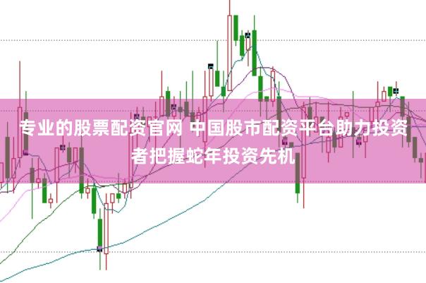 专业的股票配资官网 中国股市配资平台助力投资者把握蛇年投资先机