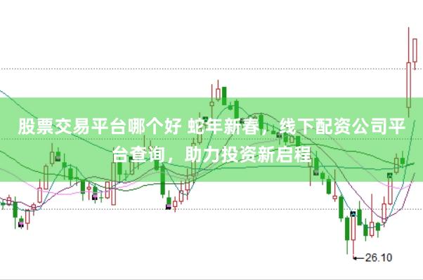 股票交易平台哪个好 蛇年新春，线下配资公司平台查询，助力投资新启程
