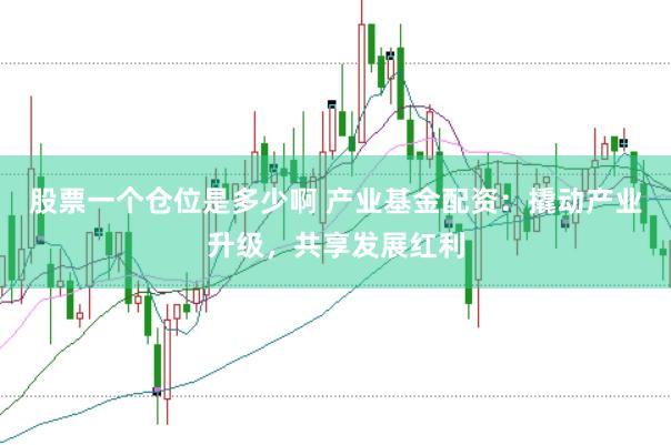 股票一个仓位是多少啊 产业基金配资：撬动产业升级，共享发展红利