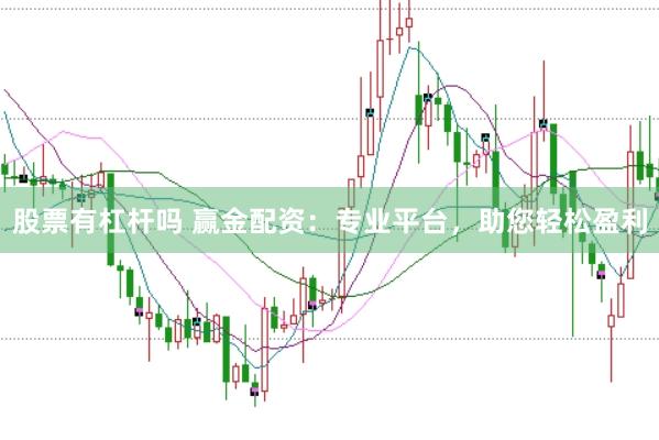 股票有杠杆吗 赢金配资：专业平台，助您轻松盈利