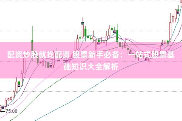 配资炒股就找配资 股票新手必备：一站式股票基础知识大全解析