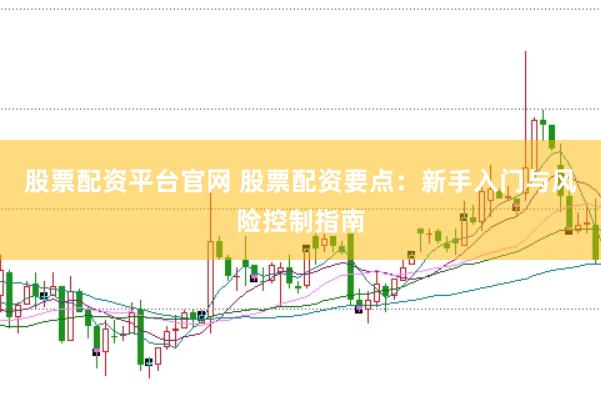 股票配资平台官网 股票配资要点：新手入门与风险控制指南