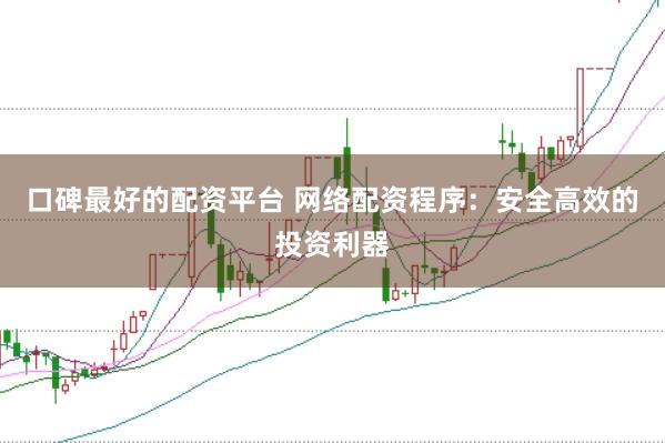口碑最好的配资平台 网络配资程序：安全高效的投资利器