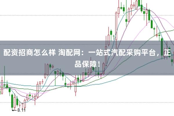 配资招商怎么样 淘配网：一站式汽配采购平台，正品保障！