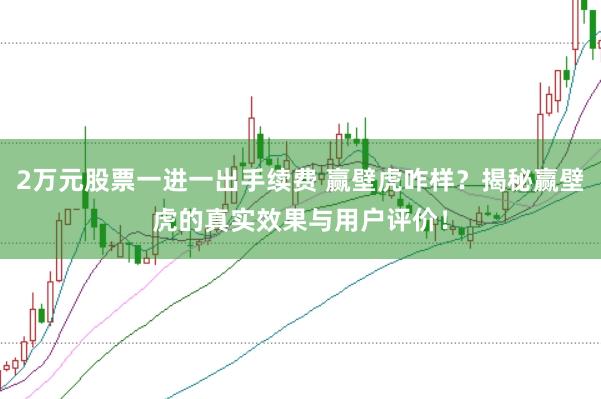 2万元股票一进一出手续费 赢壁虎咋样？揭秘赢壁虎的真实效果与用户评价！