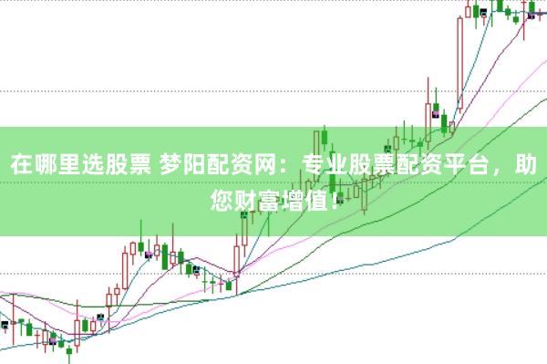 在哪里选股票 梦阳配资网：专业股票配资平台，助您财富增值！