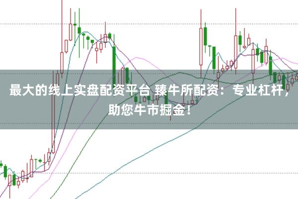最大的线上实盘配资平台 臻牛所配资：专业杠杆，助您牛市掘金！
