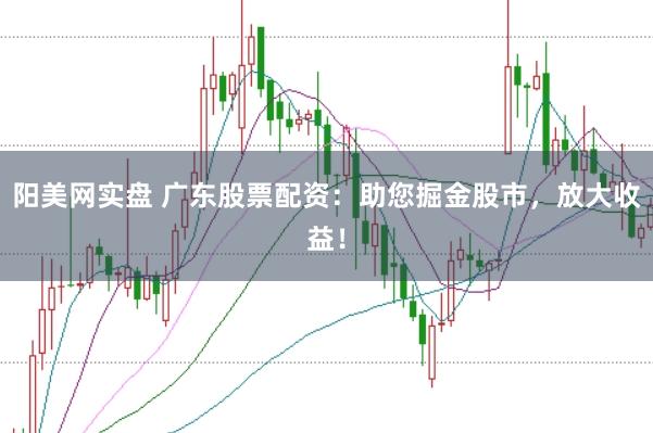 阳美网实盘 广东股票配资：助您掘金股市，放大收益！