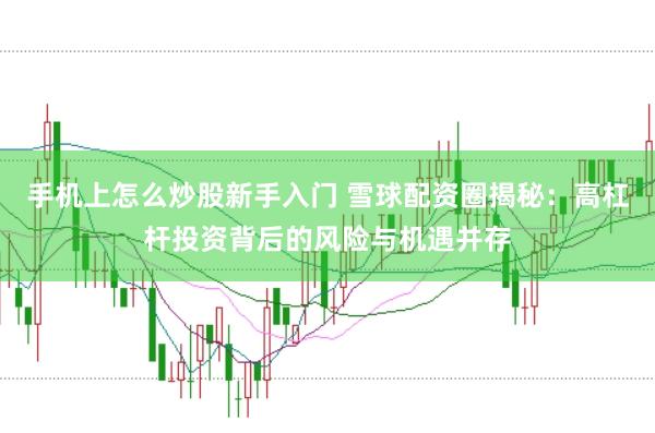 手机上怎么炒股新手入门 雪球配资圈揭秘：高杠杆投资背后的风险与机遇并存