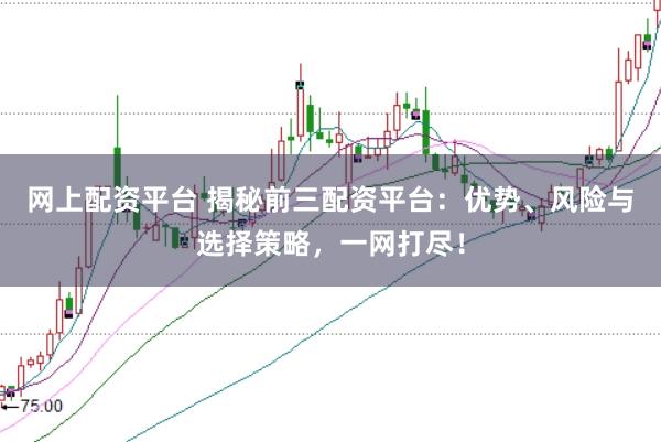 网上配资平台 揭秘前三配资平台：优势、风险与选择策略，一网打尽！