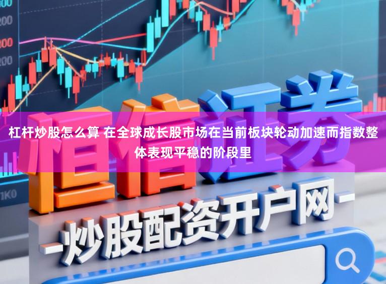 杠杆炒股怎么算 在全球成长股市场在当前板块轮动加速而指数整体表现平稳的阶段里