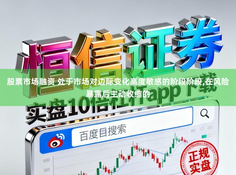 股票市场融资 处于市场对边际变化高度敏感的阶段阶段，在风险暴露后主动收缩的