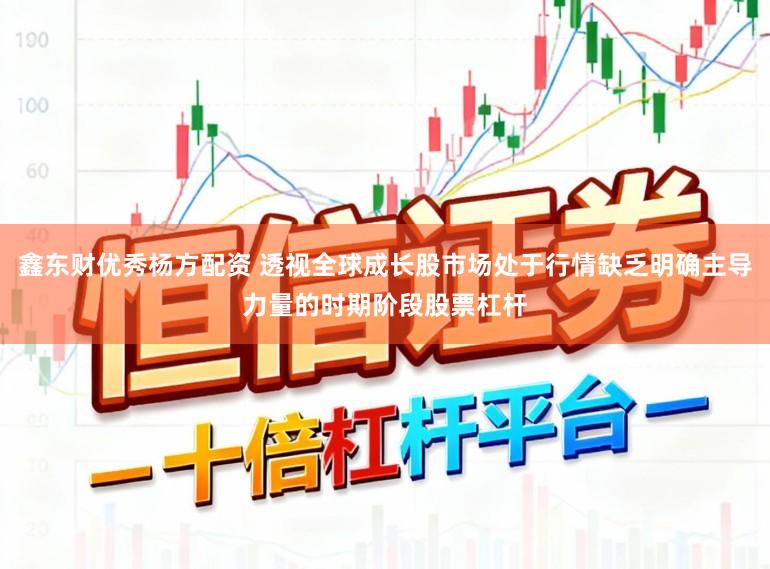 鑫东财优秀杨方配资 透视全球成长股市场处于行情缺乏明确主导力量的时期阶段股票杠杆