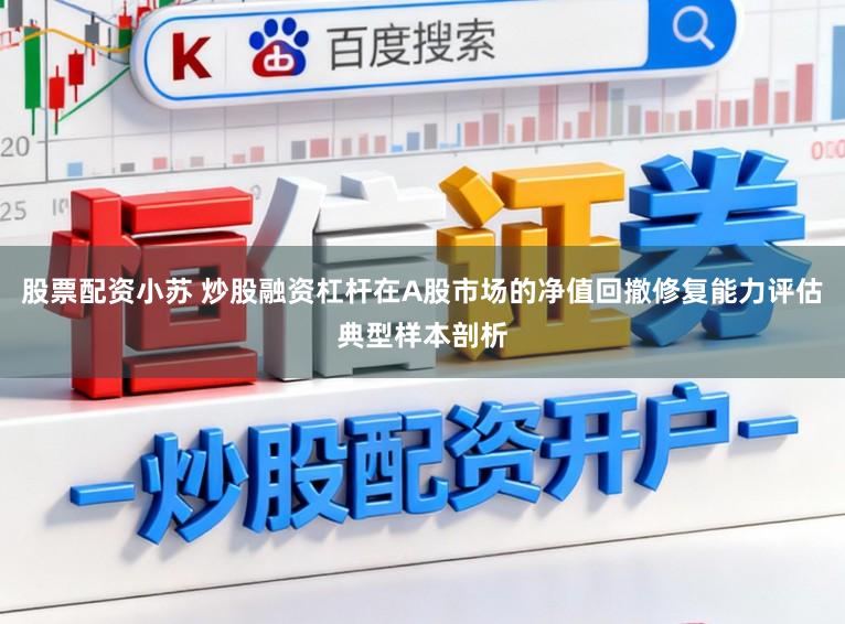 股票配资小苏 炒股融资杠杆在A股市场的净值回撤修复能力评估典型样本剖析