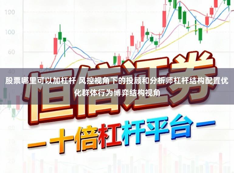 股票哪里可以加杠杆 风控视角下的投顾和分析师杠杆结构配置优化群体行为博弈结构视角